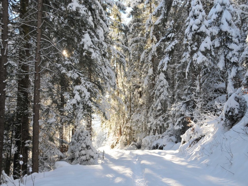 Winterimpressionen