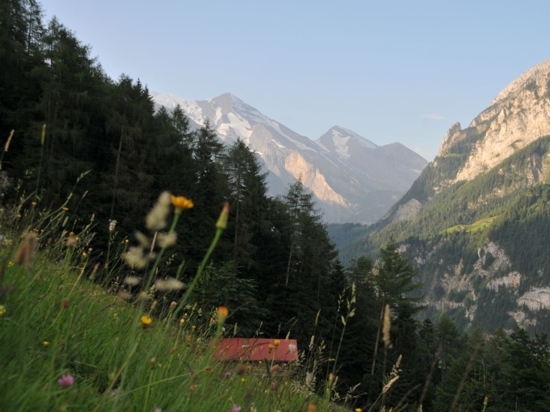 DSC_1175.jpg