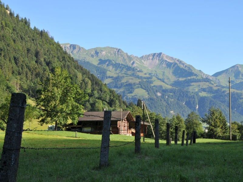 DSC_1242.jpg
