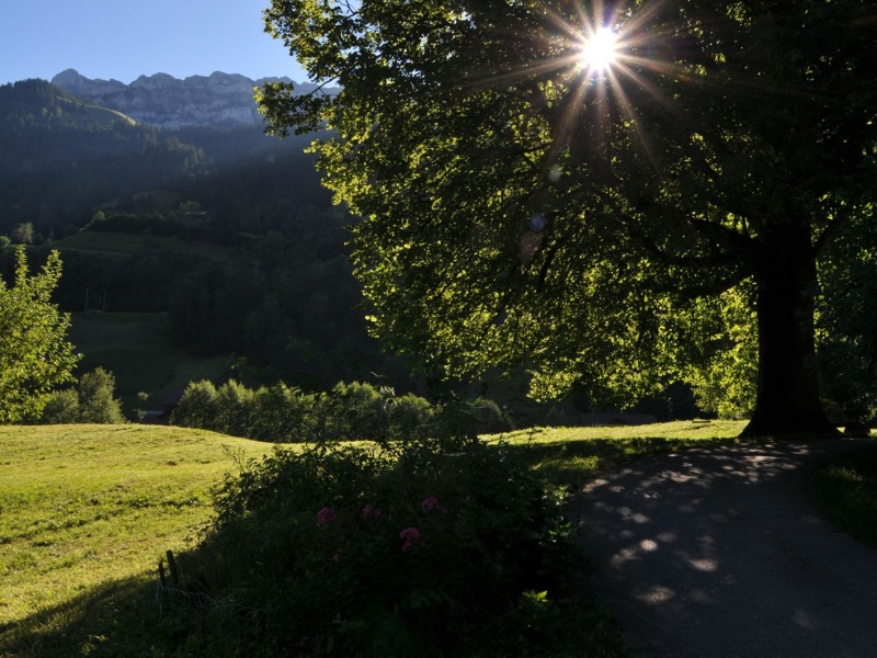 Sommerimpressionen