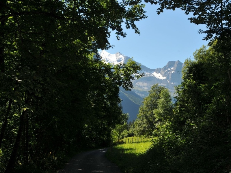 DSC_1451.jpg
